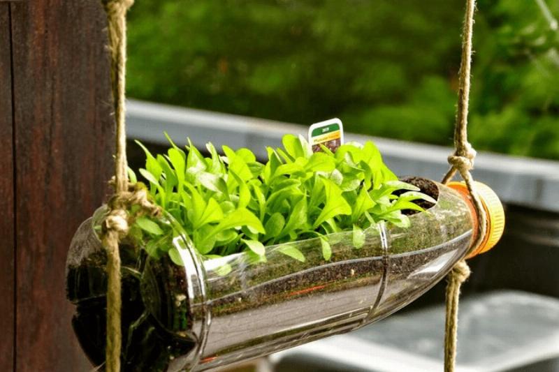 Sự nóng lên của trái đất không làm cho mọi loại ô nhiễm môi trường khác xuất hiện